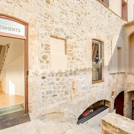 Can Cintet 21Nuevo Apartamento Moderno En Besalu Exterior photo