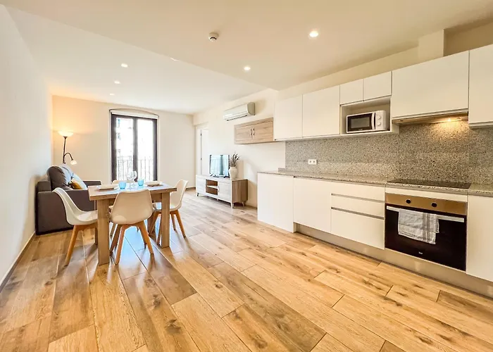 Can Cintet 21Nuevo Apartamento Moderno En Besalu